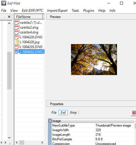 download the new for windows Exif Pilot 6.20